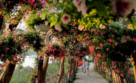 Du lịch dã ngoại ở Ecopark - Hà Nội