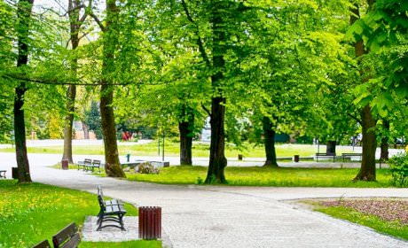 Kinh nghiệm đi dã ngoại ở công viên Yên Sở Hà Nội