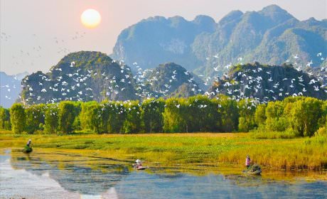 Khám phá Vườn chim Thung Nham ở Ninh Bình