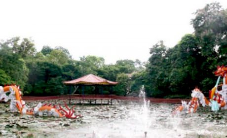 Kinh nghiệm đi du lịch Đầm Long - Ba Vì