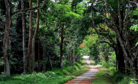 Exploring Ba Vi National Park